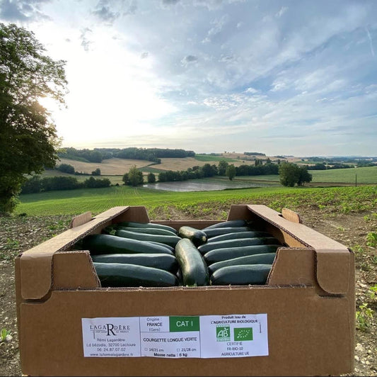 Courgette longue vert Biologique 6kg